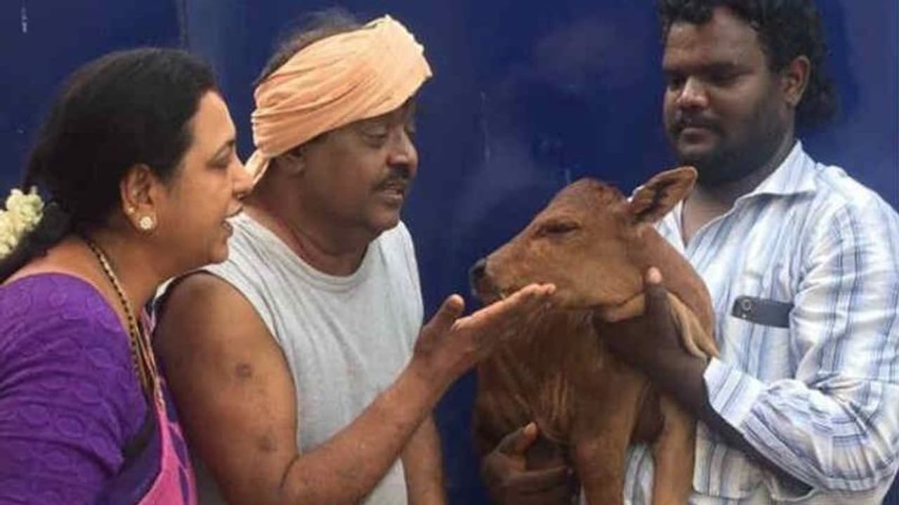 నటుడు విజయ్ కాంత్ ఇంట్లో చోరీ.. ఏం ఎత్తుకెల్లారంటే.. నటుడు విజయ్ కాంత్ ఇంట్లో చోరీ.. ఏం ఎత్తుకెల్లారంటే..