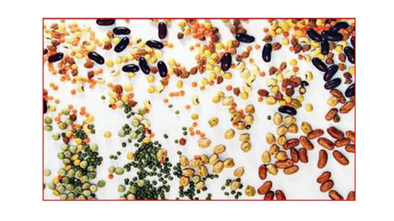 ಧಾರವಾಡದಲ್ಲಿ ಶುರುವಾಗ್ತಿದೆ ದೇಸಿ ಸಂತೆ ಧಾರವಾಡದಲ್ಲಿ ಶುರುವಾಗ್ತಿದೆ ದೇಸಿ ಸಂತೆ