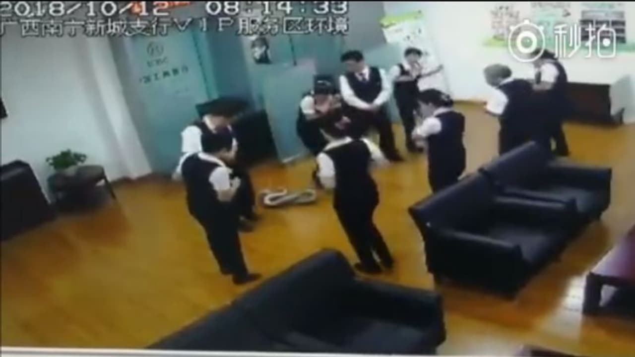 ఎయిర్ పోర్టులో పాము.. హడలిపోయిన ప్రయాణికులు ఎయిర్ పోర్టులో పాము.. హడలిపోయిన ప్రయాణికులు