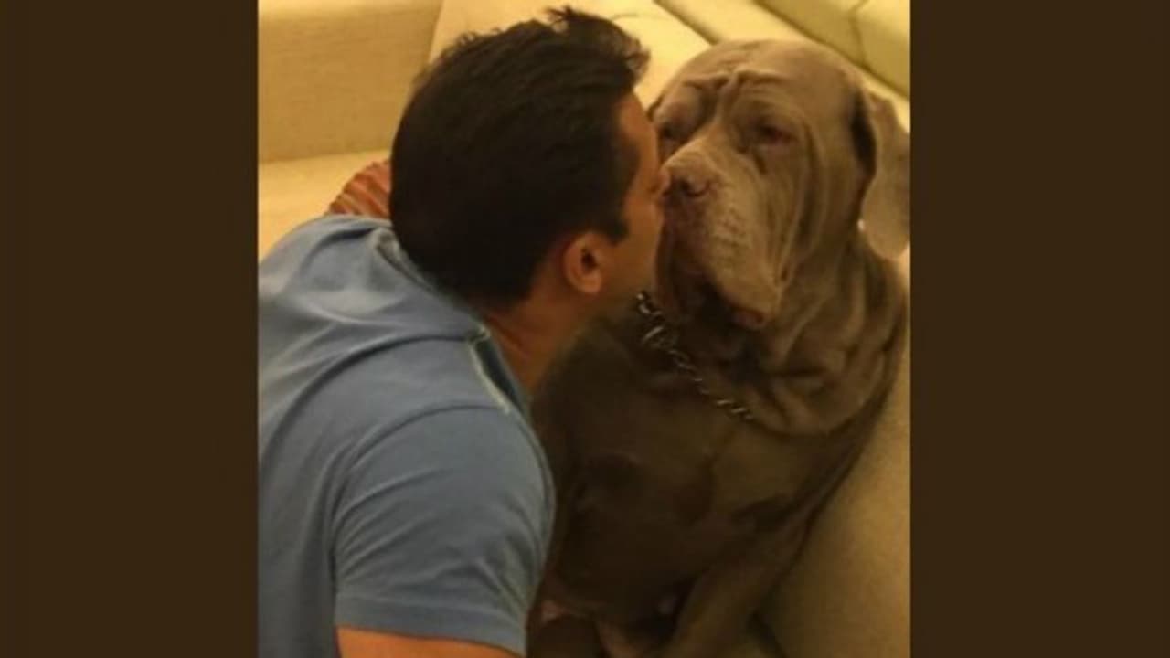 Distraught Salman Khan takes to Twitter after pet dog Mylove passes away Distraught Salman Khan takes to Twitter after pet dog Mylove passes away