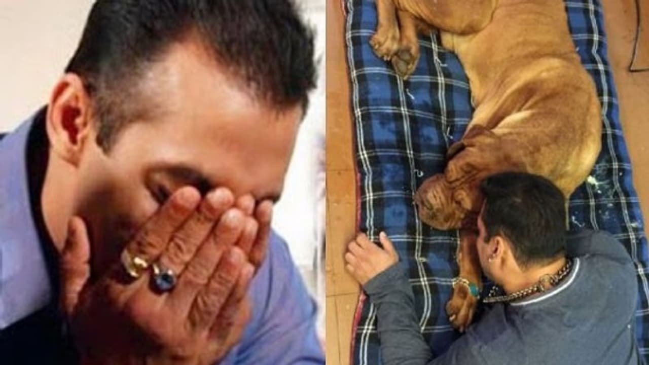 ಪ್ರೀತಿ ಕಳೆದುಕೊಂಡ್ರಂತೆ ಸಲ್ಮಾನ್ ಖಾನ್