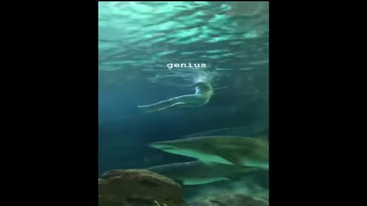 നഗ്നനായി യുവാവ് സ്രാവുകളെ വളര്ത്തുന്ന ടാങ്കിലേക്ക് ചാടി നഗ്നനായി യുവാവ് സ്രാവുകളെ വളര്ത്തുന്ന ടാങ്കിലേക്ക് ചാടി