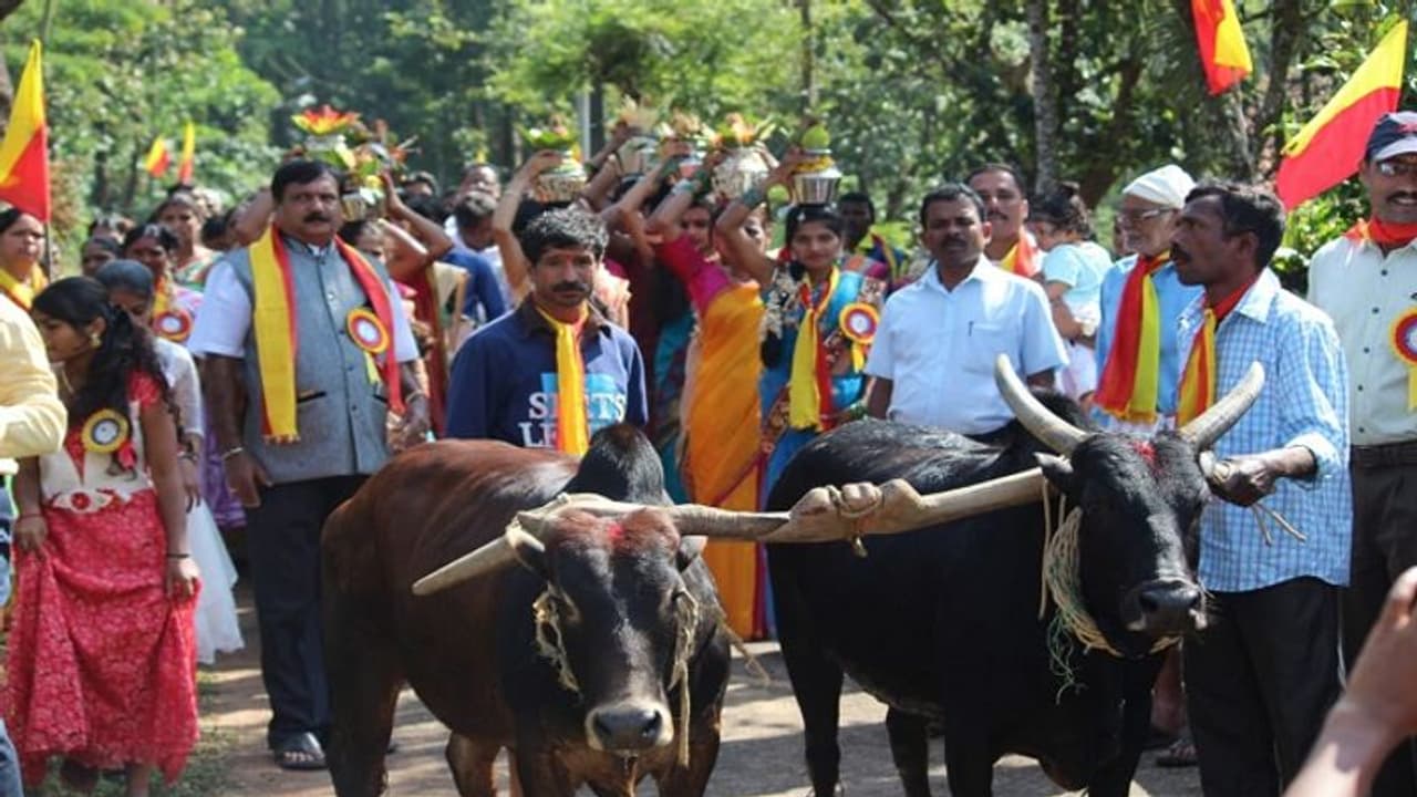 ಚಾರ್ಮಾಡಿ ಬೆಟ್ಟದ ಮೇಲೆ ಕನ್ನಡ ಬಾವುಟ, ಸಾಹಿತ್ಯದ ಧ್ಯಾನ ಚಾರ್ಮಾಡಿ ಬೆಟ್ಟದ ಮೇಲೆ ಕನ್ನಡ ಬಾವುಟ, ಸಾಹಿತ್ಯದ ಧ್ಯಾನ