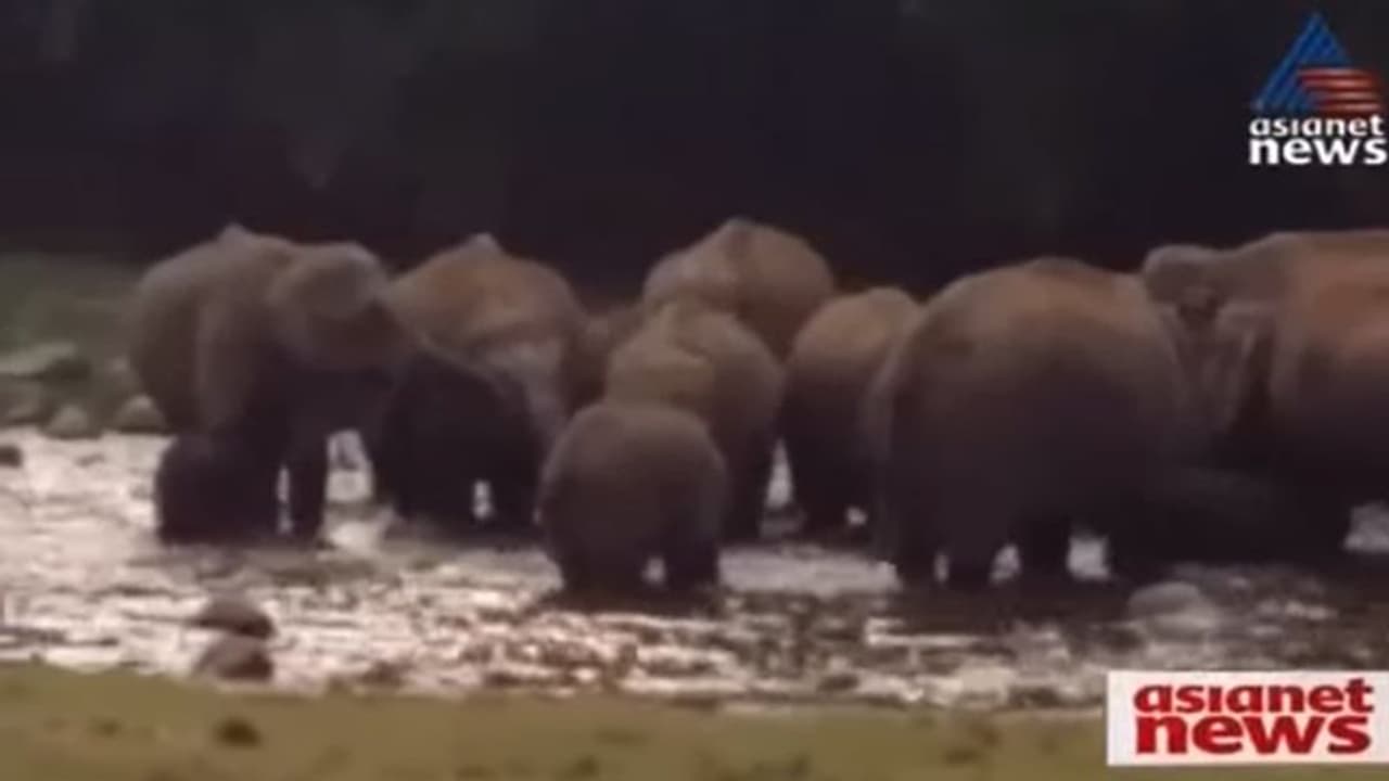 പ്രളയത്തിൽ റോഡുകൾ തകർന്നു; മാങ്കുളത്തെ വിനോദസഞ്ചാര മേഖല പ്രതിസന്ധിയിൽ പ്രളയത്തിൽ റോഡുകൾ തകർന്നു; മാങ്കുളത്തെ വിനോദസഞ്ചാര മേഖല പ്രതിസന്ധിയിൽ