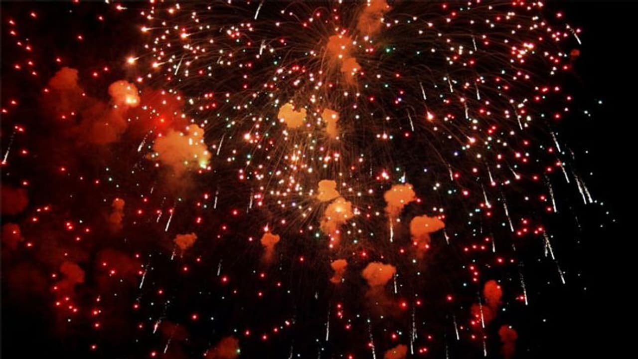 30 വര്‍ഷമായി ഈ ഗ്രാമങ്ങളില്‍ ദീപാവലിക്ക് പടക്കമില്ല; അത് ഈ പക്ഷികള്‍ക്ക് വേണ്ടിയാണ്