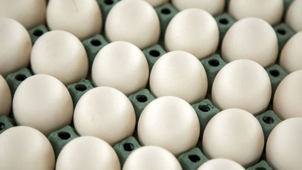 ಹೆಚ್ಚಿದ ಬೇಡಿಕೆ : ಮೊಟ್ಟೆ ಬೆಲೆ ಭಾರಿ ಏರಿಕೆ ! ಹೆಚ್ಚಿದ ಬೇಡಿಕೆ : ಮೊಟ್ಟೆ ಬೆಲೆ ಭಾರಿ ಏರಿಕೆ !