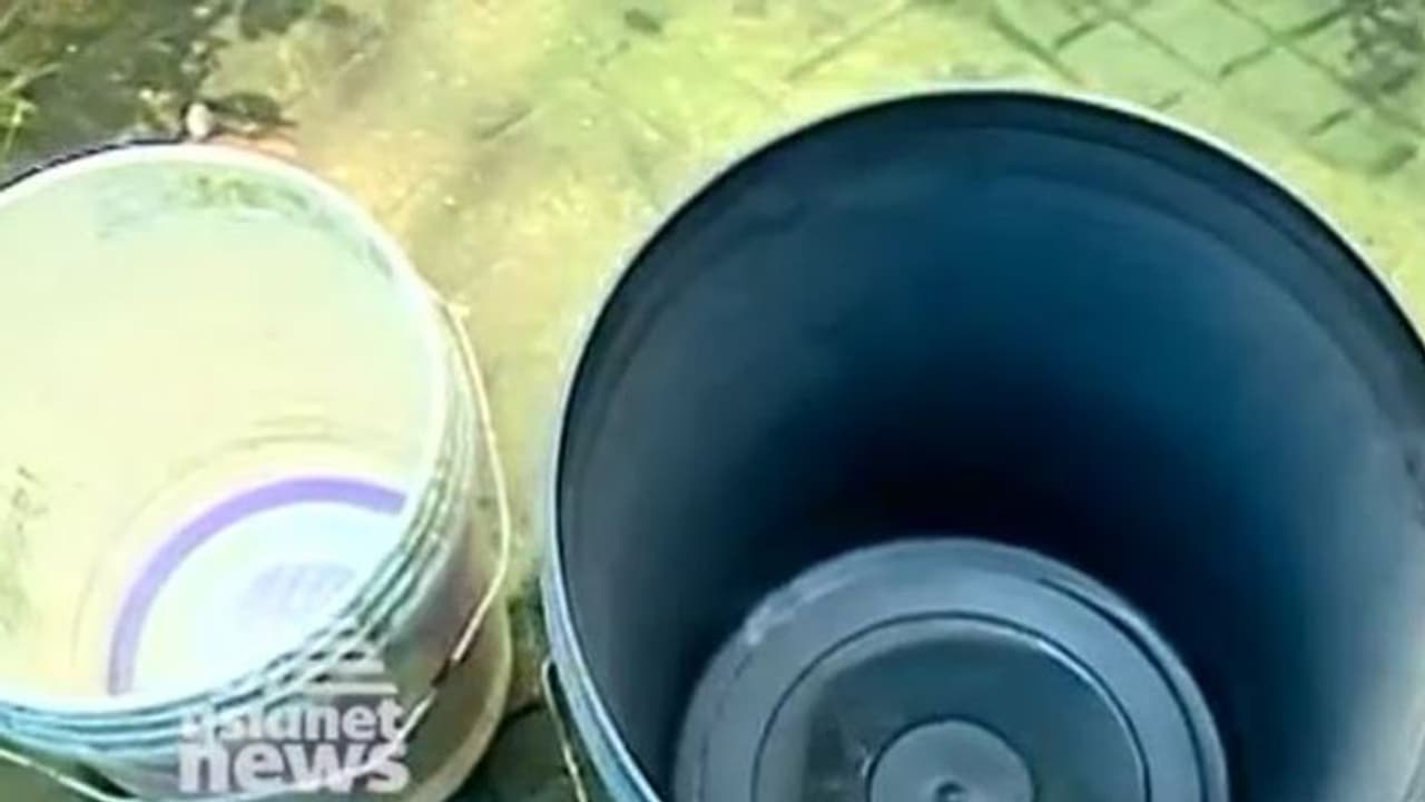 ಸೋರುತಿದೆ ಪಂಚಕೂಟ ಬಸದಿ ಮಾಳಿಗೆ ಸೋರುತಿದೆ ಪಂಚಕೂಟ ಬಸದಿ ಮಾಳಿಗೆ