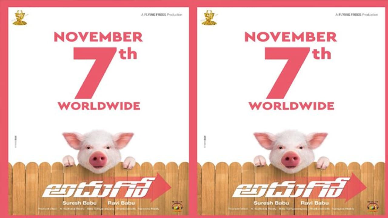 అదుగో.. పంది పిల్ల వచ్చేది అప్పుడే! అదుగో.. పంది పిల్ల వచ్చేది అప్పుడే!