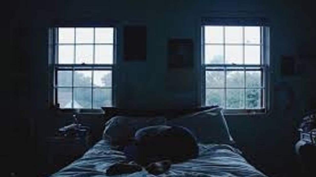 നെതര്‍ലാന്‍റ്സില്‍ ഇപ്പോള്‍ ചൂടുള്ള ചര്‍ച്ചാ വിഷയം വേശ്യാവൃത്തി; കാരണം ഇതാണ്