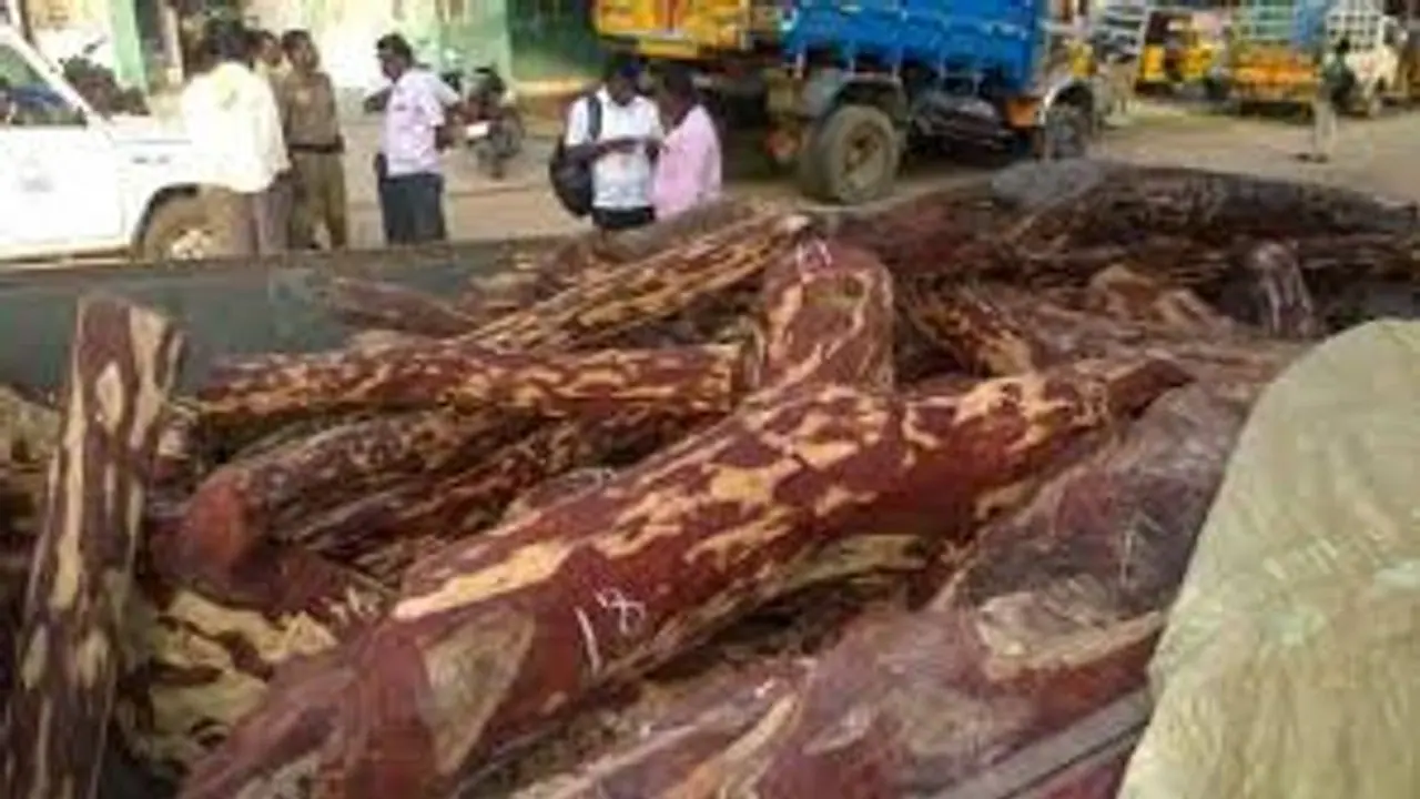 சசிகலாவின் அண்ணன் மகன் விவேக் ஜெயராமன் மாமனார் கைது... செம்மரம் கடத்தினார் கட்டை பாஸ்கர்..! சசிகலாவின் அண்ணன் மகன் விவேக் ஜெயராமன் மாமனார் கைது... செம்மரம் கடத்தினார் கட்டை பாஸ்கர்..!