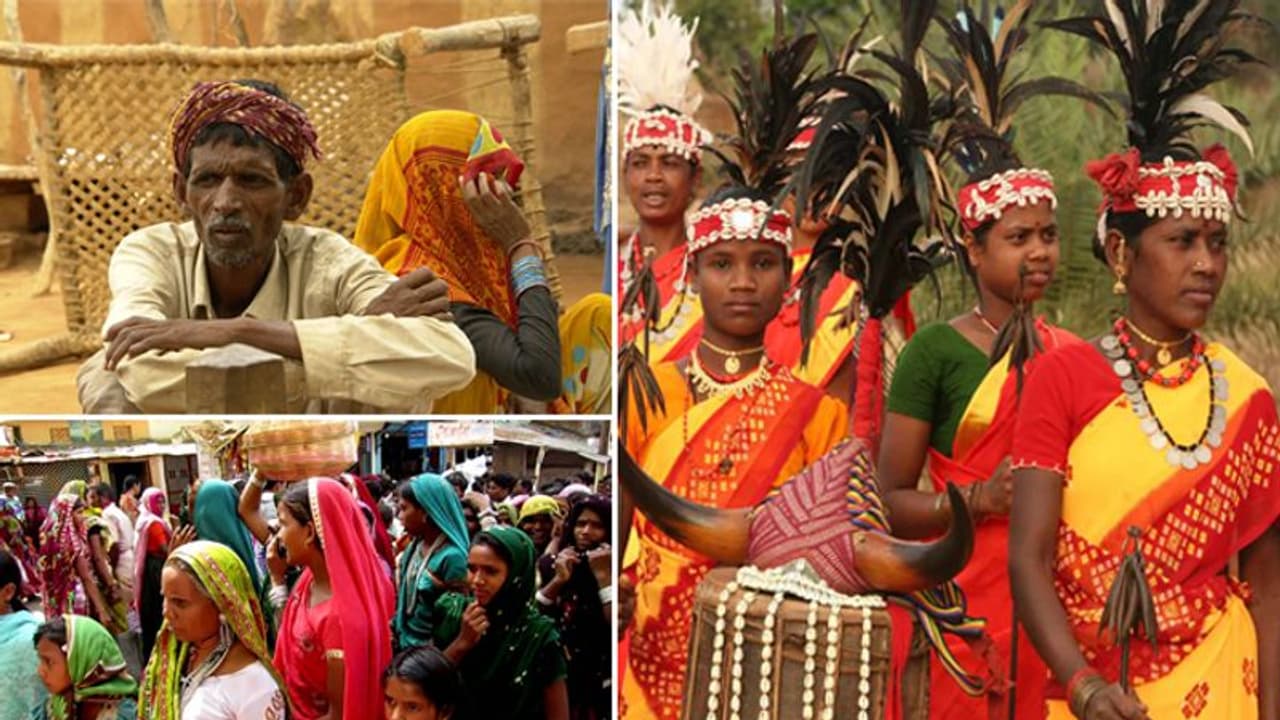 Tribal voters hold key to election outcomes in Chhattisgarh, Madhya Pradesh Tribal voters hold key to election outcomes in Chhattisgarh, Madhya Pradesh