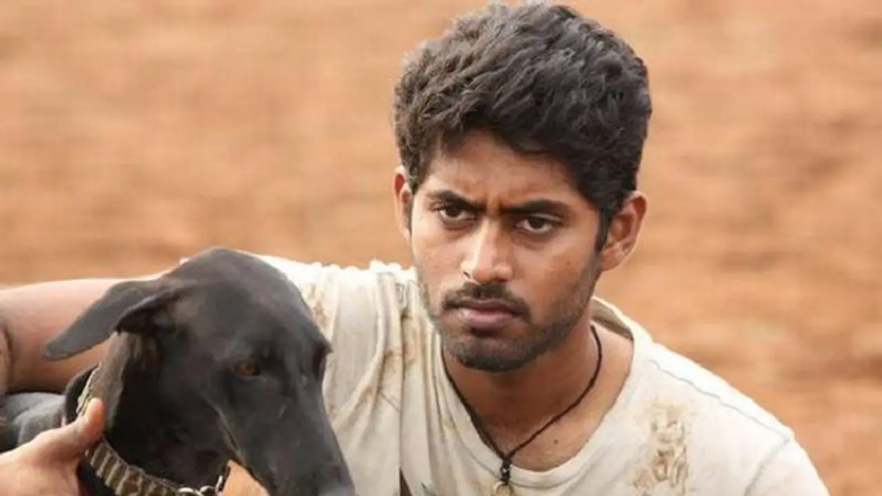 'பரியேறும் பெருமாள்' படத்தில் நடித்த கருப்பிக்கு அடித்த ஜாக்பார்ட்! 'பரியேறும் பெருமாள்' படத்தில் நடித்த கருப்பிக்கு அடித்த ஜாக்பார்ட்!