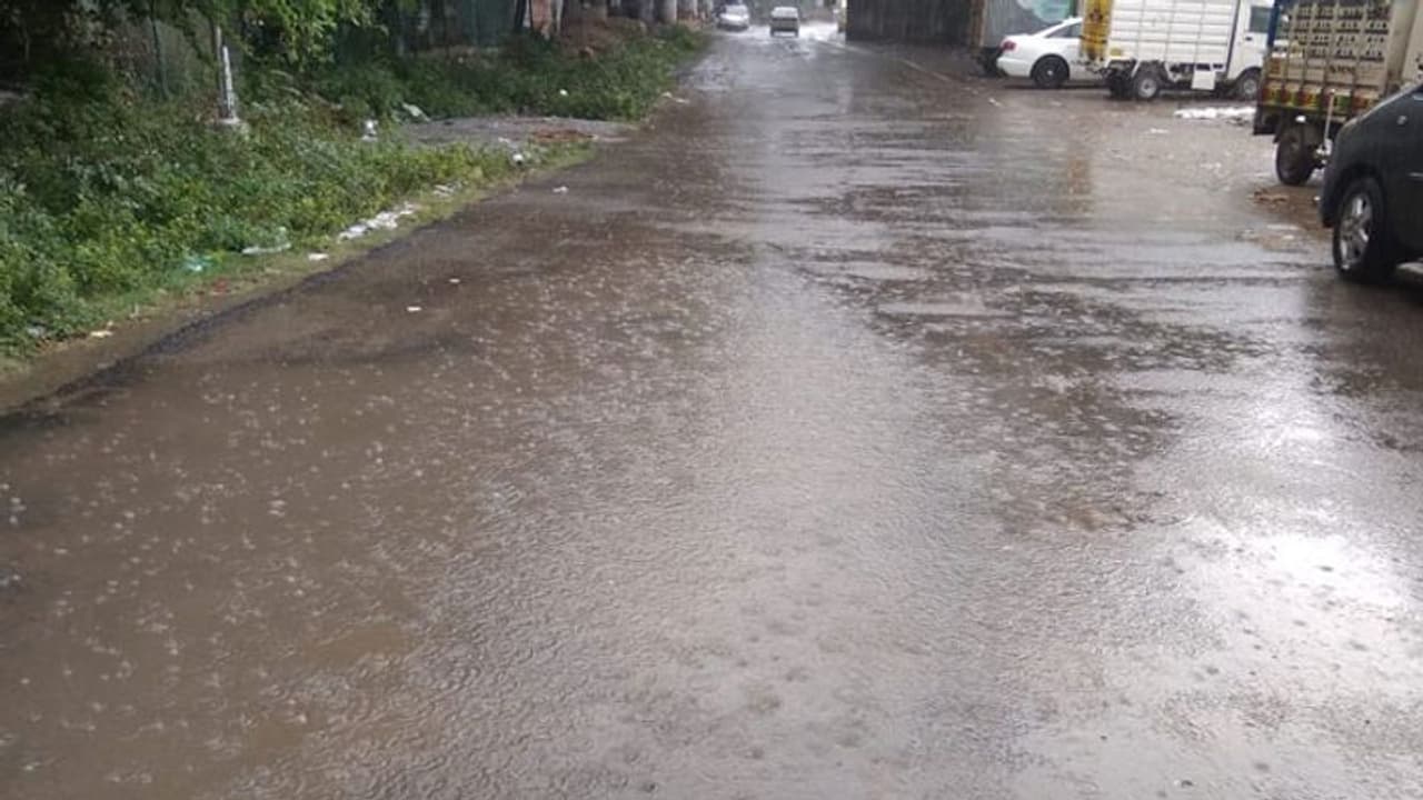 வெளுத்து வாங்கும் வடகிழக்கு பருவமழை... டெல்டா மாவட்ட விவசாயிகள் மகிழ்ச்சி! வெளுத்து வாங்கும் வடகிழக்கு பருவமழை... டெல்டா மாவட்ட விவசாயிகள் மகிழ்ச்சி!