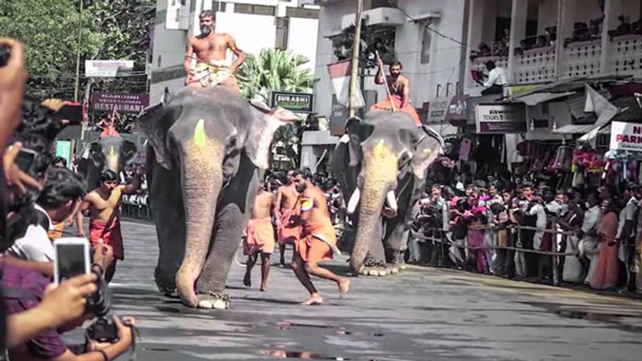 ഗുരുവായൂരില് ഇന്ന് കൊടിയേറും; ആനയോട്ടം അൽപസമയത്തിനകം ഗുരുവായൂരില് ഇന്ന് കൊടിയേറും; ആനയോട്ടം അൽപസമയത്തിനകം