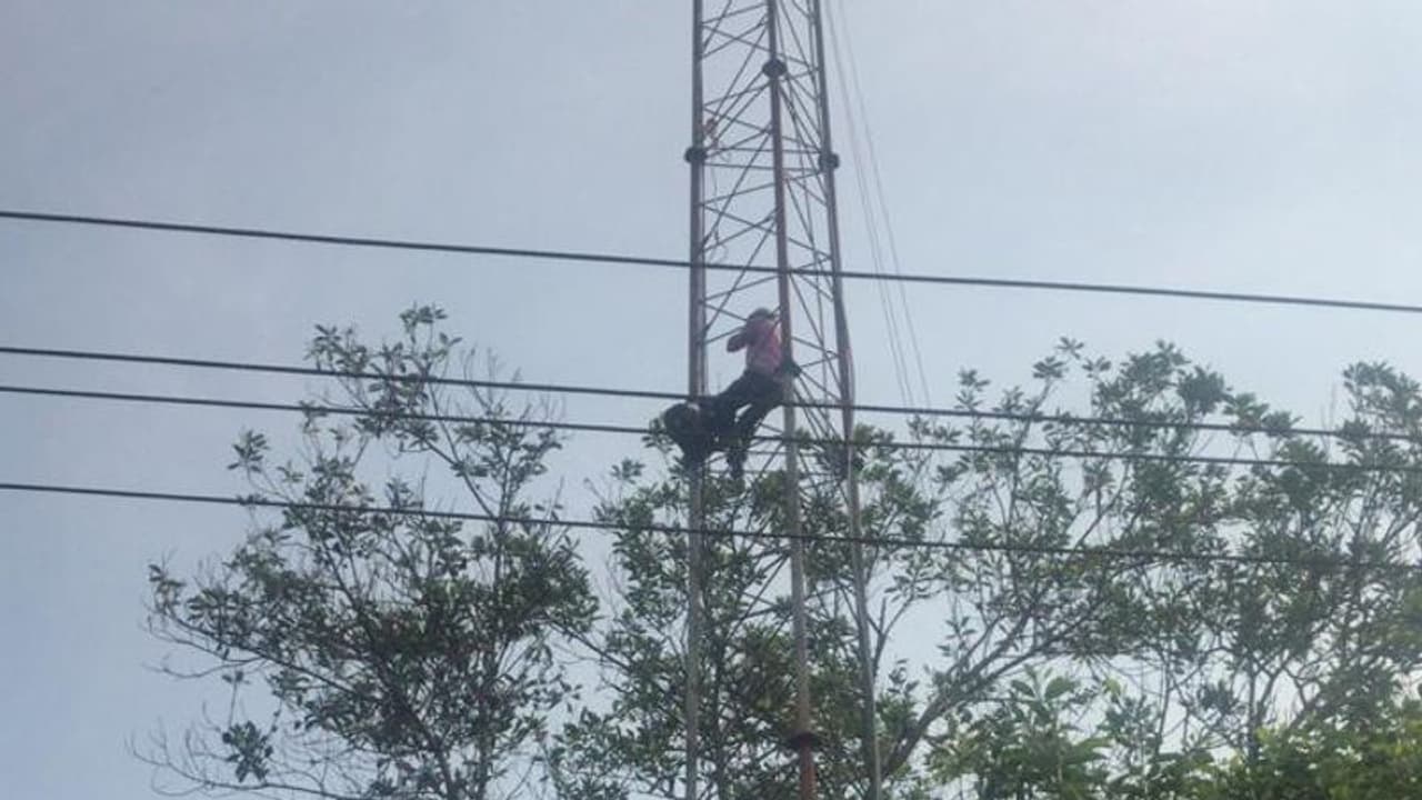 സ്ഥല പ്രശ്നത്തില് പരിഹാരം കണ്ടില്ലെങ്കില് ആത്മഹത്യയെന്ന് ഭീഷണി; മൊബൈൽ ടവറില് കയറിയ ഭിന്നശേഷിക്കാരനെ സാഹസികമായി താഴെയിറക്കി സ്ഥല പ്രശ്നത്തില് പരിഹാരം കണ്ടില്ലെങ്കില് ആത്മഹത്യയെന്ന് ഭീഷണി; മൊബൈൽ ടവറില് കയറിയ ഭിന്നശേഷിക്കാരനെ സാഹസികമായി താഴെയിറക്കി