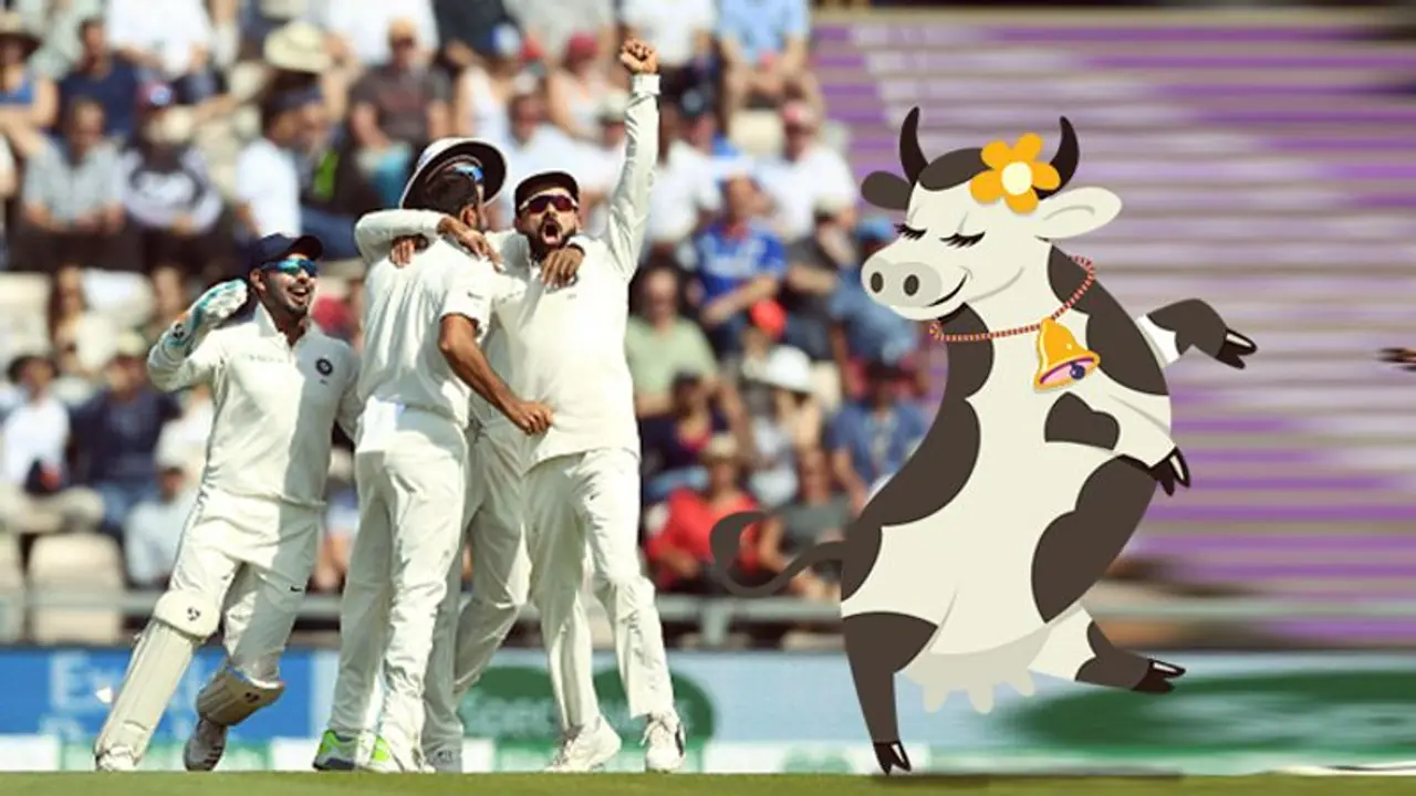 Holy cow! No beef on Team India's menu, please: BCCI tells Cricket Australia