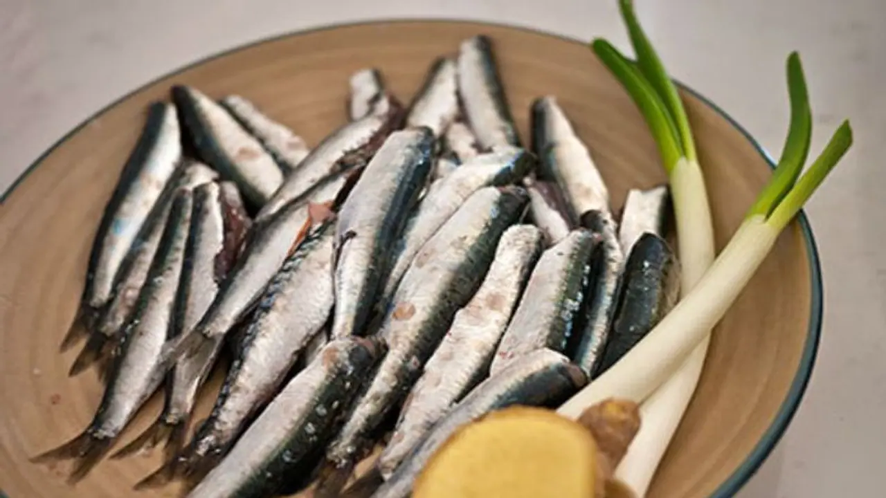 Sardines: ஊட்டச்சத்துக்கள் நிறைந்த மத்தி மீன் சாப்பிட்டால் இவ்வளவு நன்மைகள் கிடைக்குமா! Sardines: ஊட்டச்சத்துக்கள் நிறைந்த மத்தி மீன் சாப்பிட்டால் இவ்வளவு நன்மைகள் கிடைக்குமா!