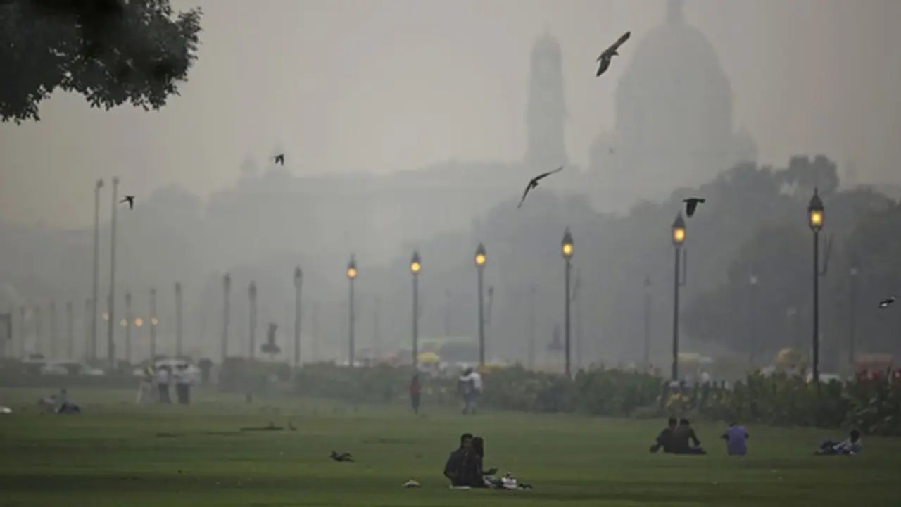 Delhi pollution: Raging farm fires, rampant felling of trees to blame