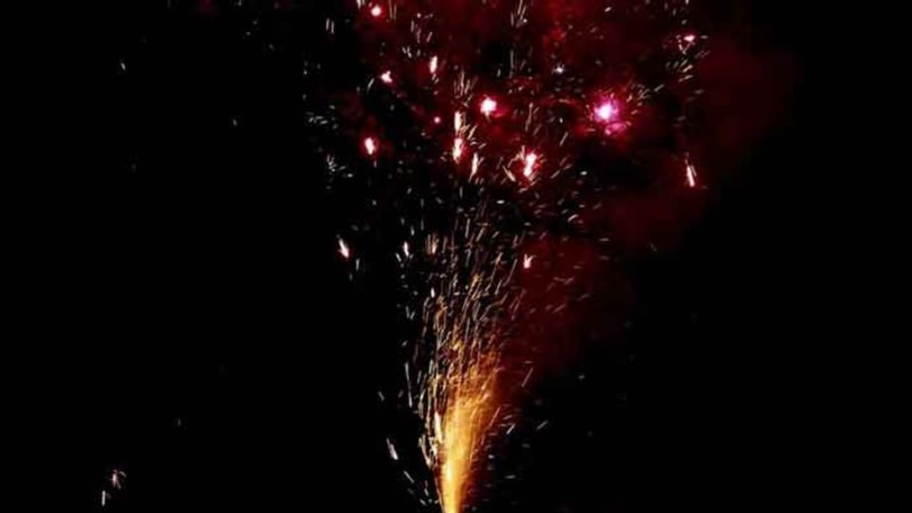 ಪಟಾಕಿ ಮಾರಾಟ, ಬಳಕೆ ನಿಷೇಧ : ಜಿಲ್ಲಾಧಿಕಾರಿ ಆದೇಶ