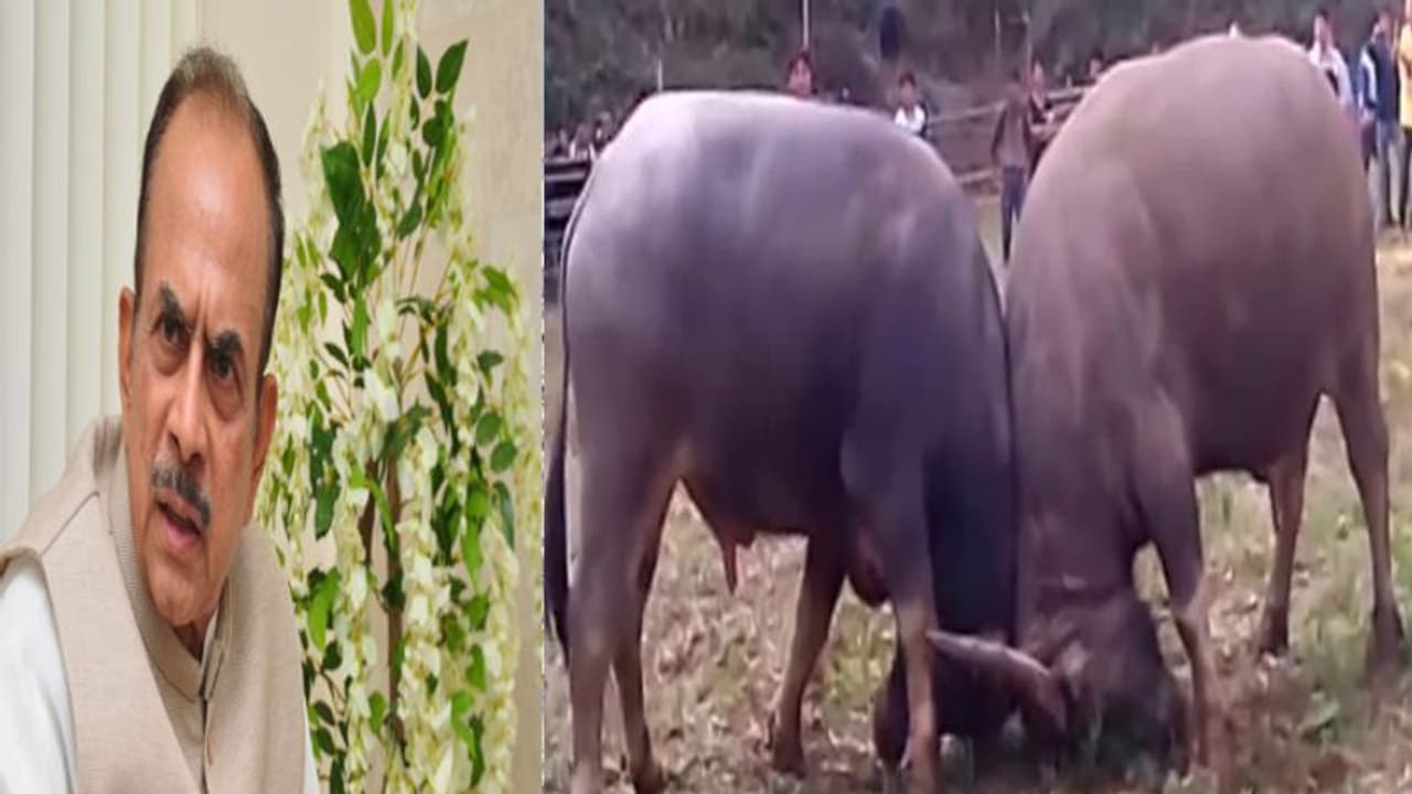 సదర్ ఉత్సవాల్లో అపశృతి.... డిప్యూటీ సీఎంకు తప్పిన ప్రమాదం సదర్ ఉత్సవాల్లో అపశృతి.... డిప్యూటీ సీఎంకు తప్పిన ప్రమాదం