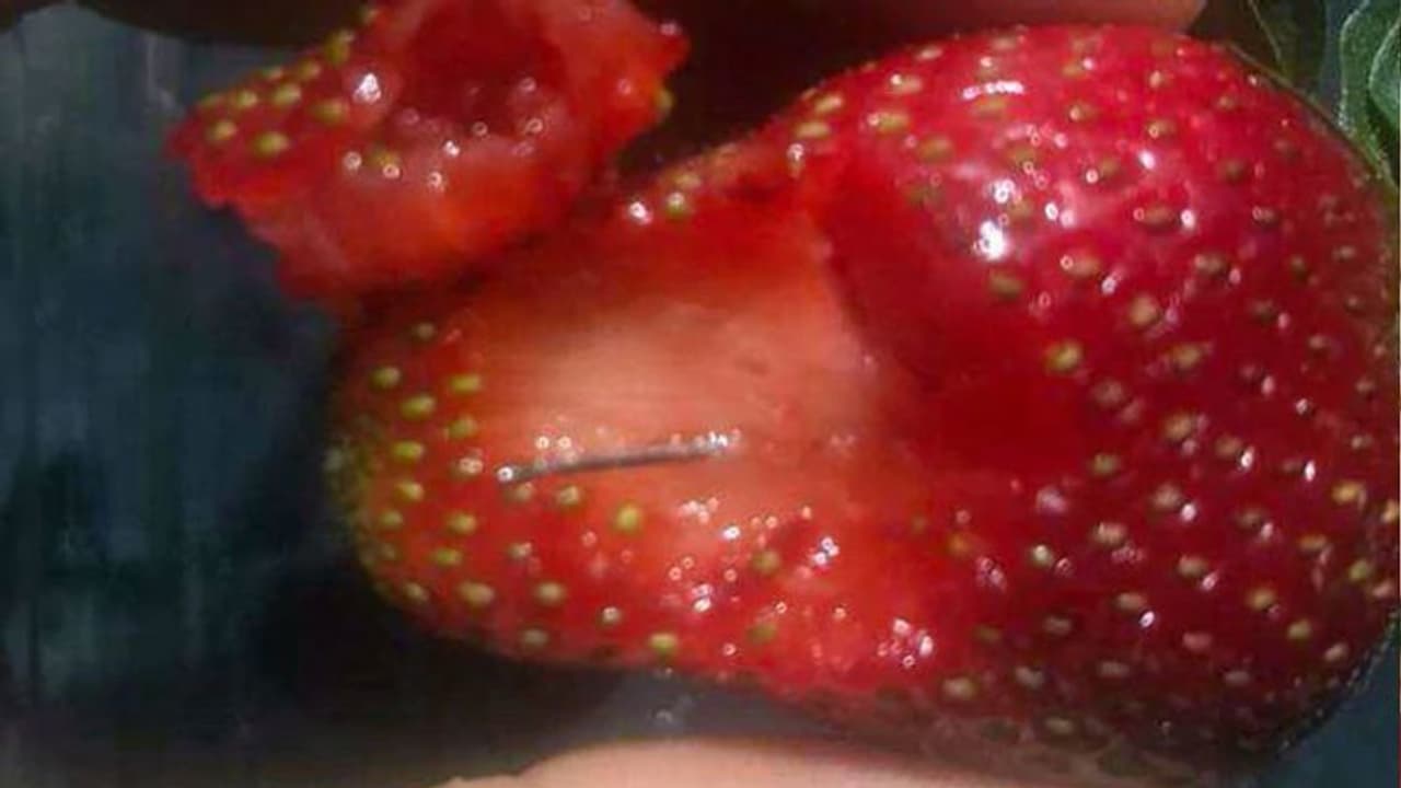 സ്ട്രോബറിക്കുള്ളില് സൂചി, ഓസ്ട്രേലിയയില് പഴങ്ങള് നിരോധിച്ചു; കാരണക്കാരിയായ 50 കാരി പിടിയില് സ്ട്രോബറിക്കുള്ളില് സൂചി, ഓസ്ട്രേലിയയില് പഴങ്ങള് നിരോധിച്ചു; കാരണക്കാരിയായ 50 കാരി പിടിയില്