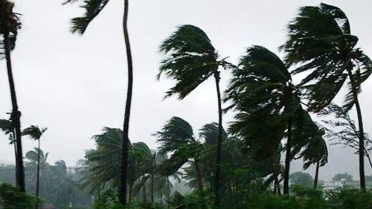 আমফানের রেশ যেতে না যেতেই ফের দুর্যোগ, প্রবল ঝড় বৃষ্টিতে রাজ্যে মৃত ৩