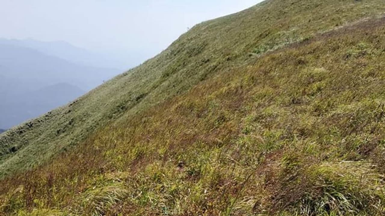 ಪಶ್ಚಿಮಘಟ್ಟದಲ್ಲಿ ಭಾರೀ ಆತಂಕ : ಮತ್ತೊಂದು ವೈಪರಿತ್ಯ ಪಶ್ಚಿಮಘಟ್ಟದಲ್ಲಿ ಭಾರೀ ಆತಂಕ : ಮತ್ತೊಂದು ವೈಪರಿತ್ಯ