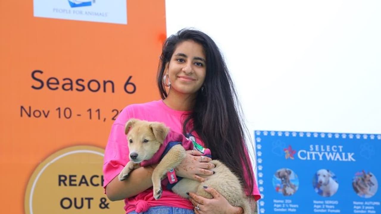 Dilwalon ki Dilli: 19 homeless dogs find loving homes at Cause For Paws event Dilwalon ki Dilli: 19 homeless dogs find loving homes at Cause For Paws event