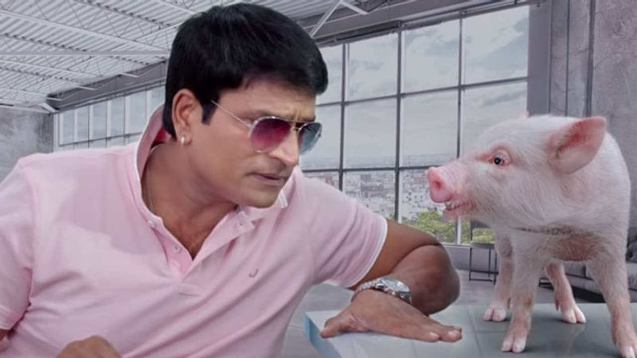 పంది ఎఫెక్ట్.. దివాలా తీసిన దర్శకుడు!