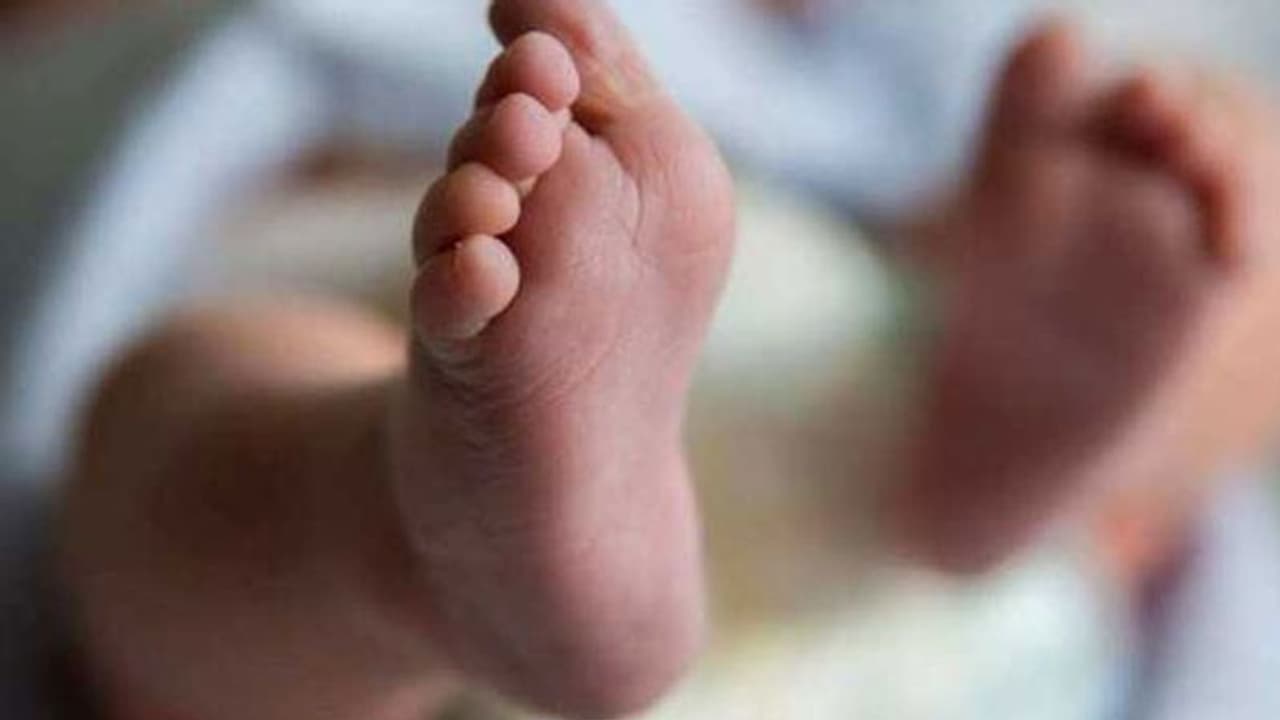 ঘুমন্ত অবস্থায় নাতনিকে 'শ্বাসরোধ করে খুন' দাদুর, চাঞ্চল্য কালনায়