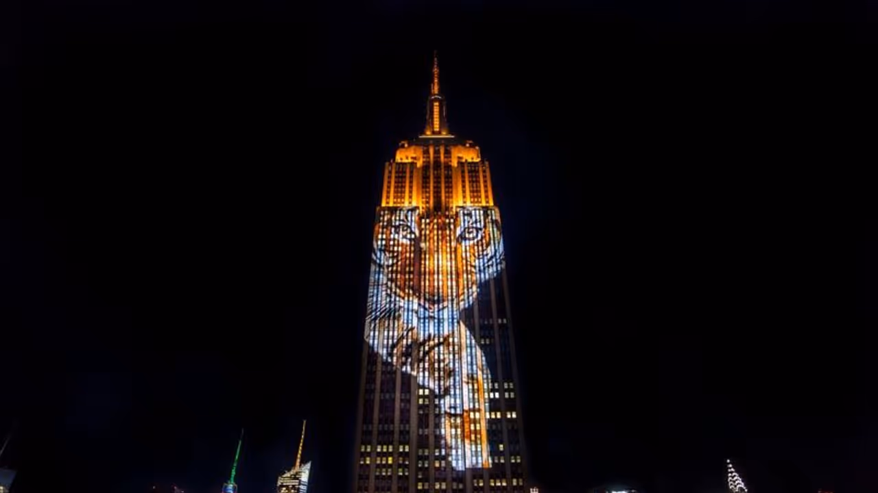 ಮೃತ ಹುಲಿ ’ಅವನಿ’ಗೆ ಅಮೆರಿಕದ ನ್ಯೂಯಾರ್ಕ್’ನಲ್ಲಿ ಗೌರವ ಸಮರ್ಪಣೆ ಮೃತ ಹುಲಿ ’ಅವನಿ’ಗೆ ಅಮೆರಿಕದ ನ್ಯೂಯಾರ್ಕ್’ನಲ್ಲಿ ಗೌರವ ಸಮರ್ಪಣೆ