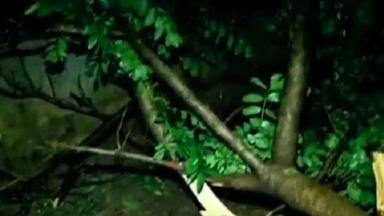 கரையைக் கடந்தது கஜா புயல் …. வலுவிழக்க இன்னும் 6 மணி நேரம் ஆகும்…நாகை, கடலூர் மாவட்டங்களைப் புரட்டிப்போட்ட புயல்… கரையைக் கடந்தது கஜா புயல் …. வலுவிழக்க இன்னும் 6 மணி நேரம் ஆகும்…நாகை, கடலூர் மாவட்டங்களைப் புரட்டிப்போட்ட புயல்…