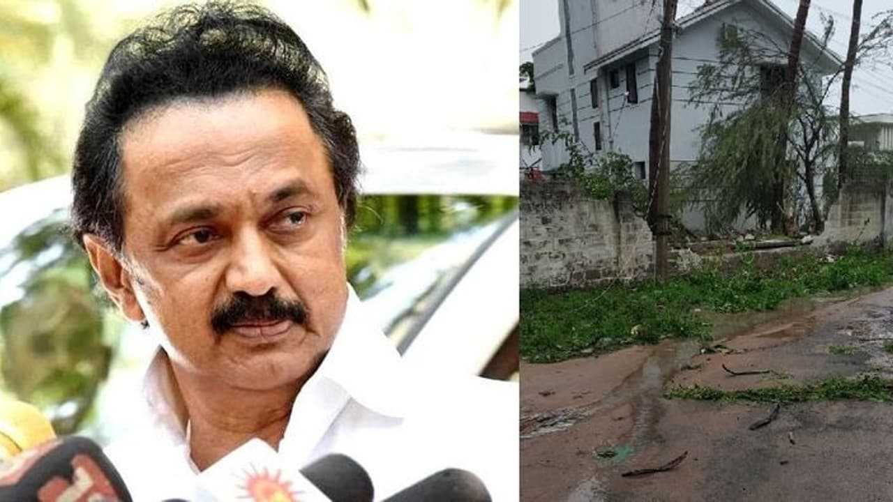 சிறப்பா செஞ்சிட்டிங்க... தமிழக அரசை ஆஹா ஓஹோன்னு பாராட்டும் திமுக தலைவர் ஸ்டாலின்! சிறப்பா செஞ்சிட்டிங்க... தமிழக அரசை ஆஹா ஓஹோன்னு பாராட்டும் திமுக தலைவர் ஸ்டாலின்!