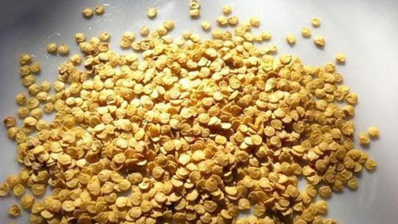 1ಕೇಜಿ ಮೆಣಸಿನಕಾಯಿ ಬೀಜಕ್ಕೆ 50 ಸಾವಿರ! 1ಕೇಜಿ ಮೆಣಸಿನಕಾಯಿ ಬೀಜಕ್ಕೆ 50 ಸಾವಿರ!