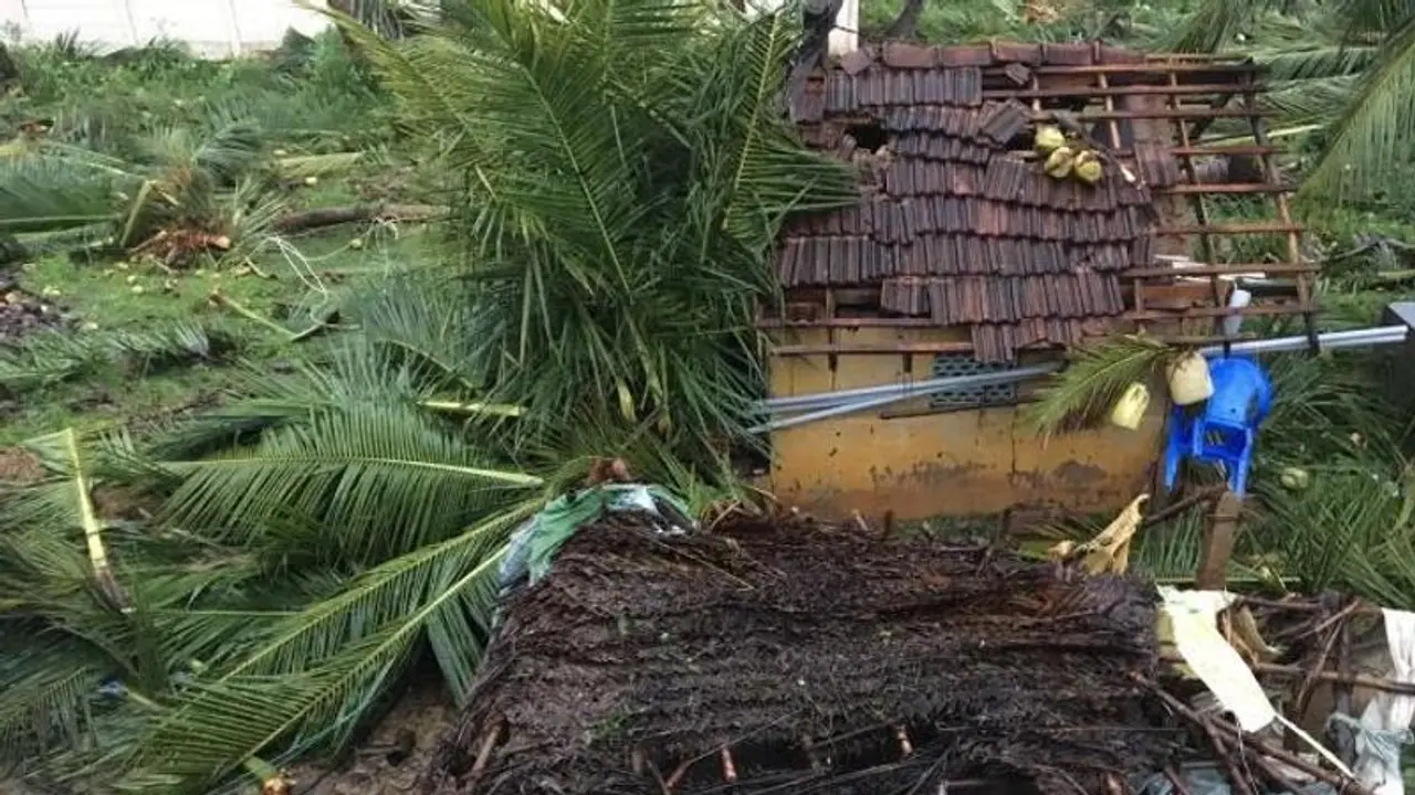 Cyclone Gaja claims 45 lives, causes massive property destruction