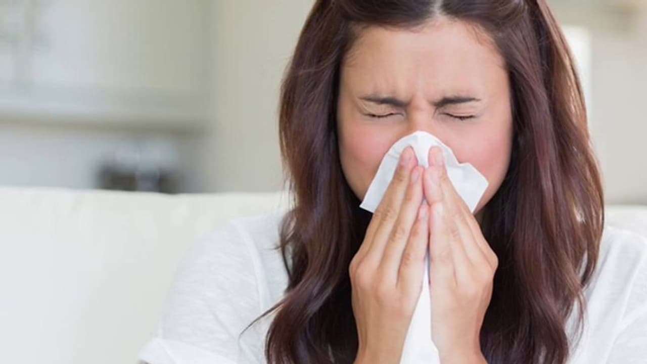 തുമ്മലും ജലദോഷവും വിട്ടുമാറുന്നില്ലേ; എങ്കിൽ ഇതാ ചില ഒറ്റമൂലികള് തുമ്മലും ജലദോഷവും വിട്ടുമാറുന്നില്ലേ; എങ്കിൽ ഇതാ ചില ഒറ്റമൂലികള്