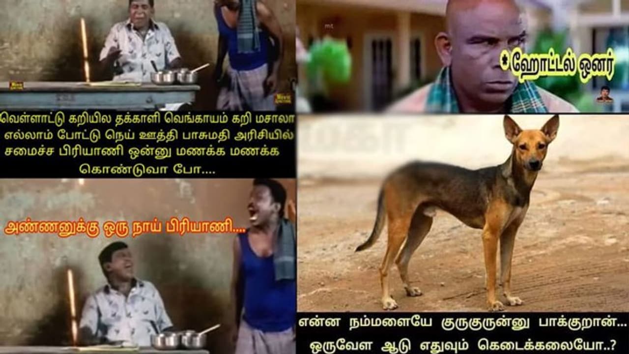 மட்டன், மீன், சிக்கனை விட நாய்க்கறி ரேட் ரொம்ப ஜாஸ்தியாம்... அடேய்... அடேய்... அடேய்... மட்டன், மீன், சிக்கனை விட நாய்க்கறி ரேட் ரொம்ப ஜாஸ்தியாம்... அடேய்... அடேய்... அடேய்...