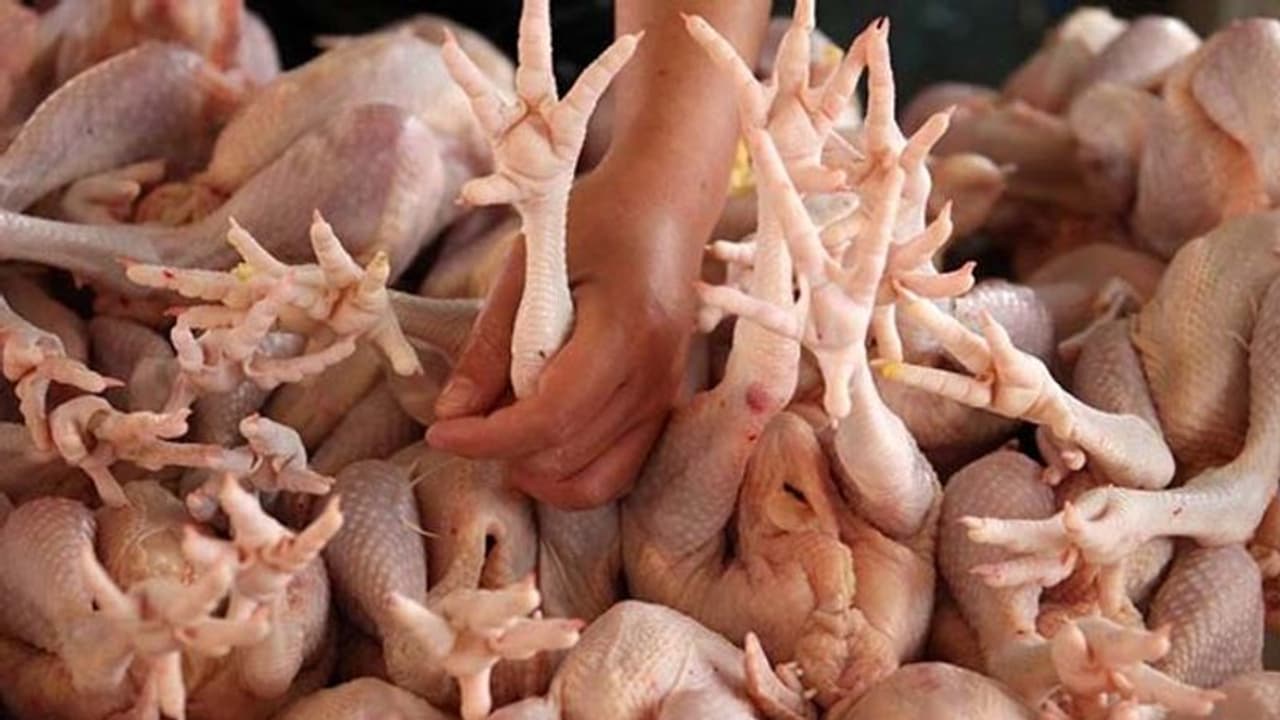 ముక్కముట్టని జనం.... పడిపోయిన చికెన్ ధరలు, ఆఫర్లే.. ఆఫర్లు ముక్కముట్టని జనం.... పడిపోయిన చికెన్ ధరలు, ఆఫర్లే.. ఆఫర్లు