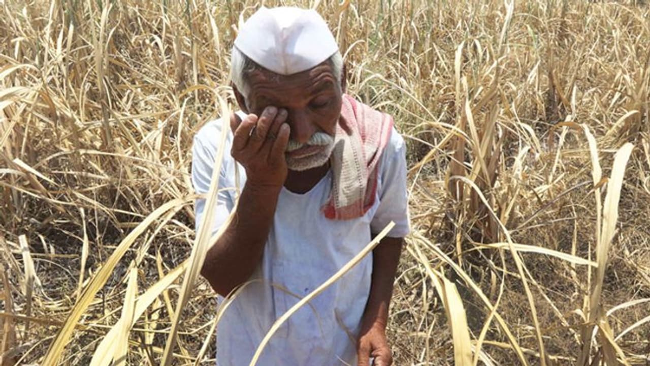ರಾಜ್ಯದ 125 ತಾಲೂಕಲ್ಲಿ ಈಗಲೂ ಬರದ ಪರಿಸ್ಥಿತಿ!