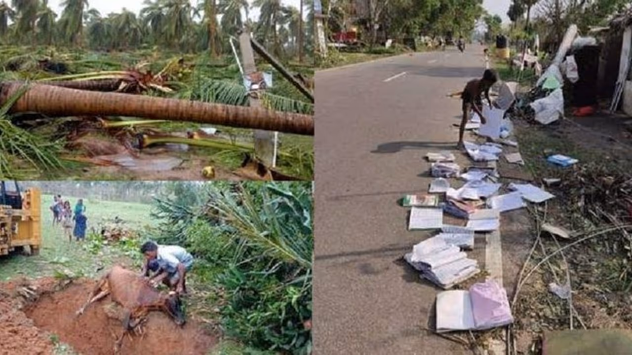 காணாமல் போன 6 கிராமங்கள்... தடம் தெரியாமல் தாண்டவம் ஆடி அழித்த கஜா!! அதிரவைக்கும் தகவல்... காணாமல் போன 6 கிராமங்கள்... தடம் தெரியாமல் தாண்டவம் ஆடி அழித்த கஜா!! அதிரவைக்கும் தகவல்...