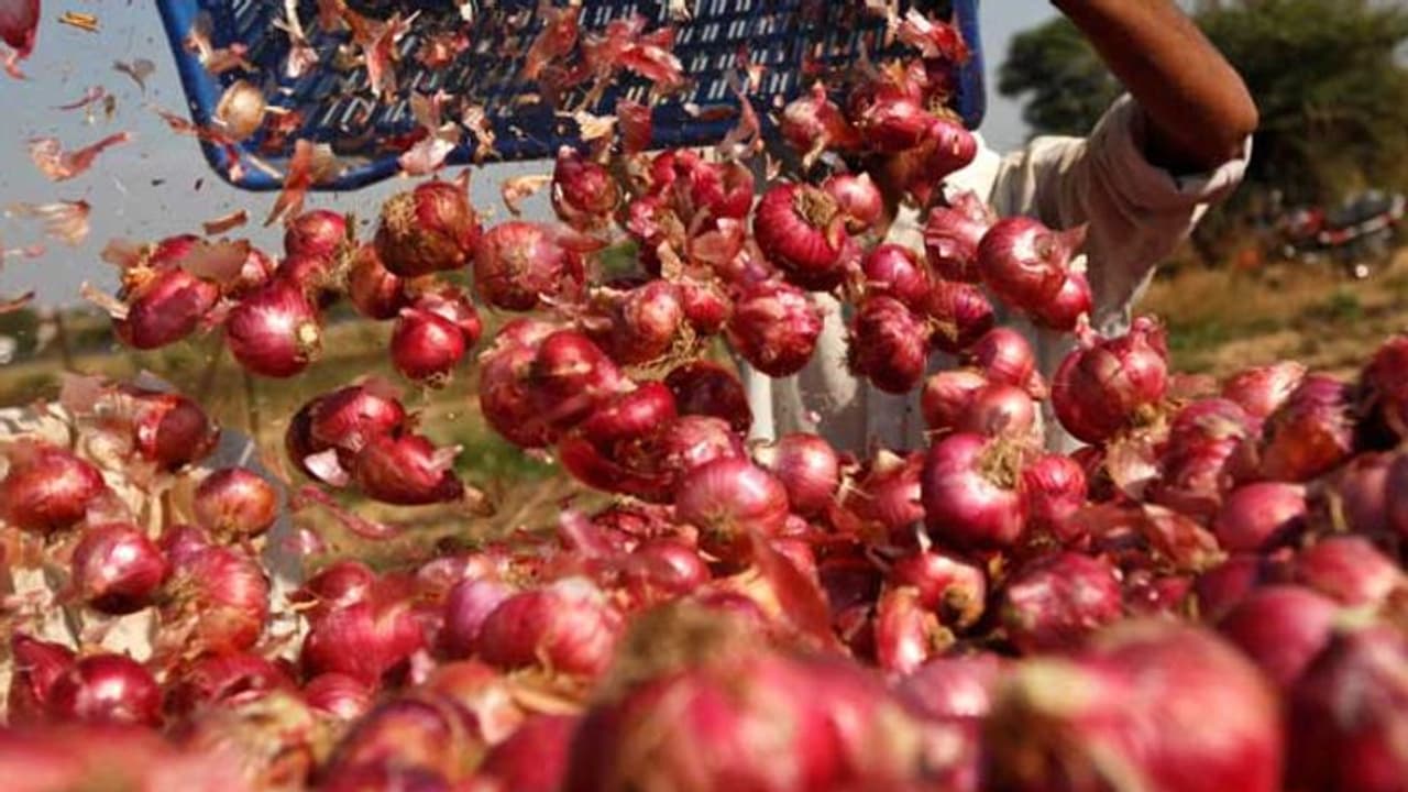 ഉള്ളി വില കൂപ്പുകുത്തി; കിലോയ്ക്ക് ഒരു രൂപ വരെ ഉള്ളി വില കൂപ്പുകുത്തി; കിലോയ്ക്ക് ഒരു രൂപ വരെ