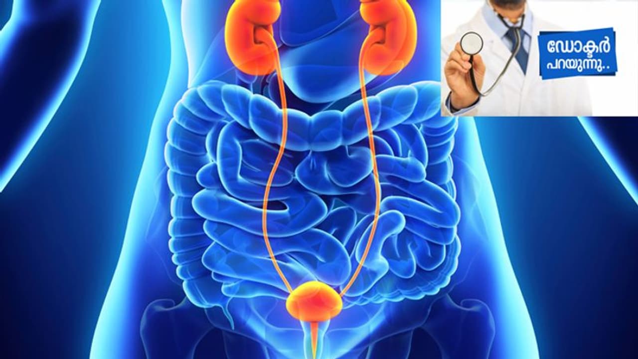 വൃക്കകളിലും മൂത്രസഞ്ചിയിലും ഉണ്ടാകുന്ന ക്യാന്‍സര്‍; കൂടുതലായി കണ്ട് വരുന്നത് പുരുഷന്മാരിൽ, ഡോ. അരുണ്‍ സംസാരിക്കുന്നു