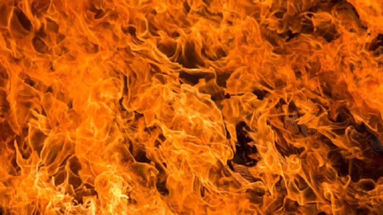 Vijayawada based financier set ablaze by two men