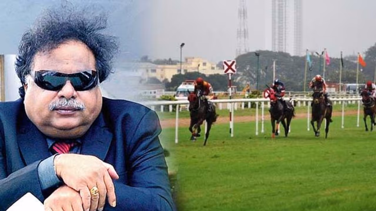 ಅಂಬಿ ಅಣ್ಣ ಮತ್ತು ಬಿಸಿನೆಸ್: 'ಕೈ ಹಾಕಿದಲ್ಲೆಲ್ಲಾ ಗೌಡ್ರು ಸಕ್ಸೆಸ್!