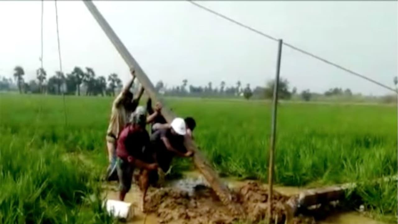 ഗജ ഇരുട്ടിലാക്കിയ തമിഴ്നാടിനെ പ്രകാശിപ്പിക്കാന് കേരളത്തിന്റെ സ്വന്തം കെഎസ്ഇബി ഗജ ഇരുട്ടിലാക്കിയ തമിഴ്നാടിനെ പ്രകാശിപ്പിക്കാന് കേരളത്തിന്റെ സ്വന്തം കെഎസ്ഇബി