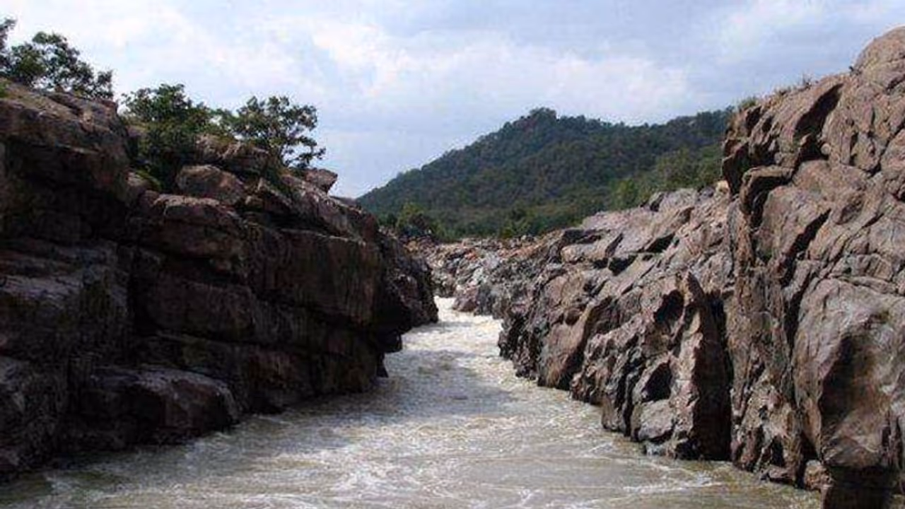 Mekedatu project: Tamil Nadu political parties stage separate sit in protests