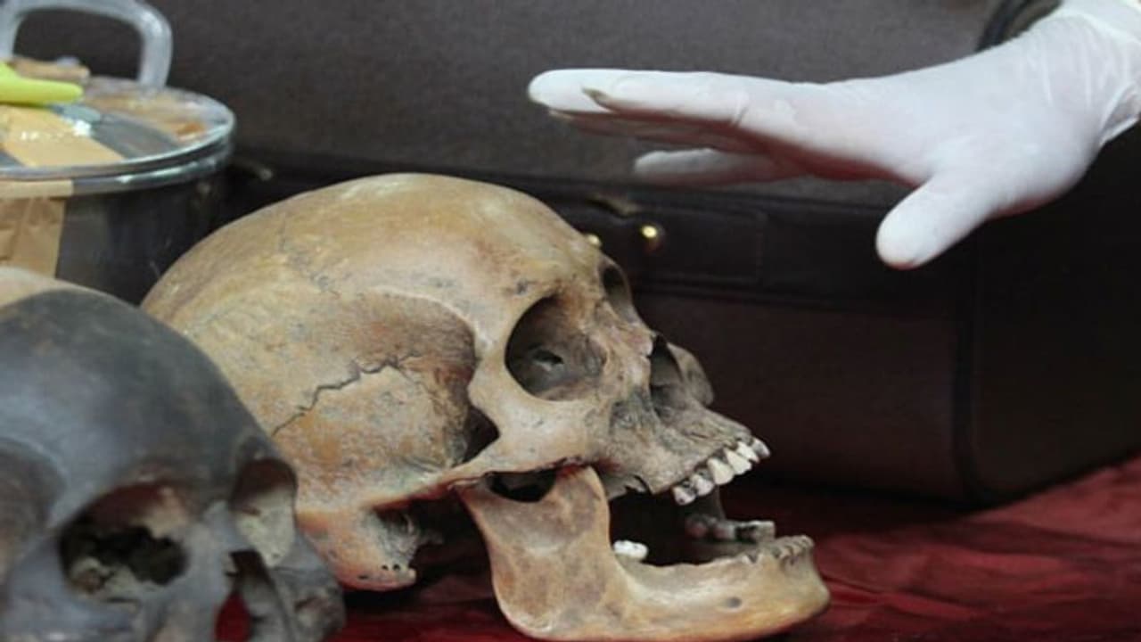 ரயில் நிலையத்தில் மனித எலும்பு குவியல்… போலீசார் அதிர்ச்சி! ரயில் நிலையத்தில் மனித எலும்பு குவியல்… போலீசார் அதிர்ச்சி!