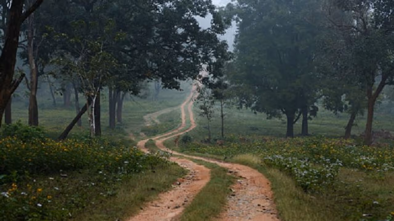 Eight Amaravati projects denied permission to use forest land