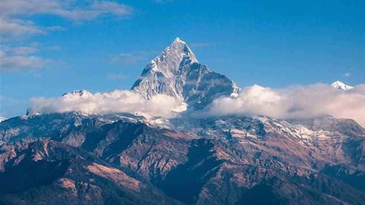 8 died while collecting 'Himalayan viagra' in Nepal