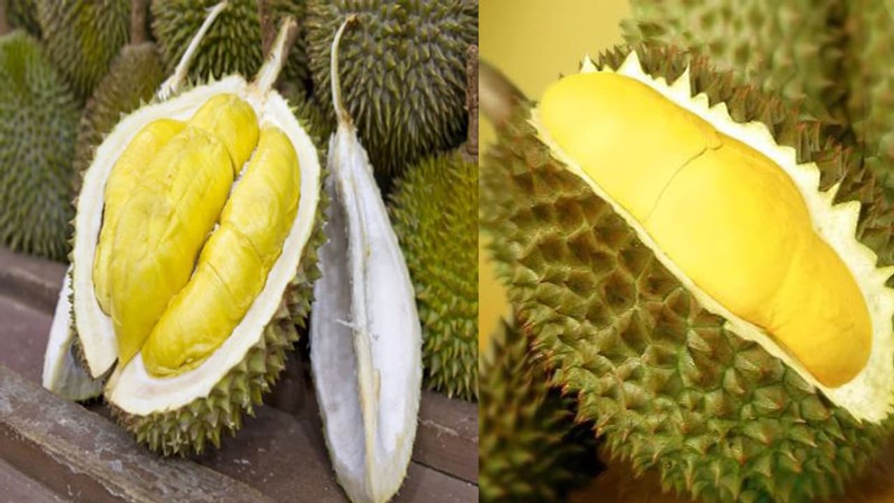 ವಿಶ್ವದ ಅತೀ ದುರ್ಗಂಧದ ಹಣ್ಣಿದು..!